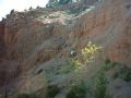 crack_limestone_and_crokalopagi_at_kapsitsa
