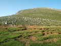 1510