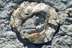 Rocks - Πετρώματα