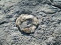 1675