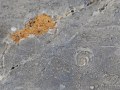 4790