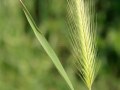 3919